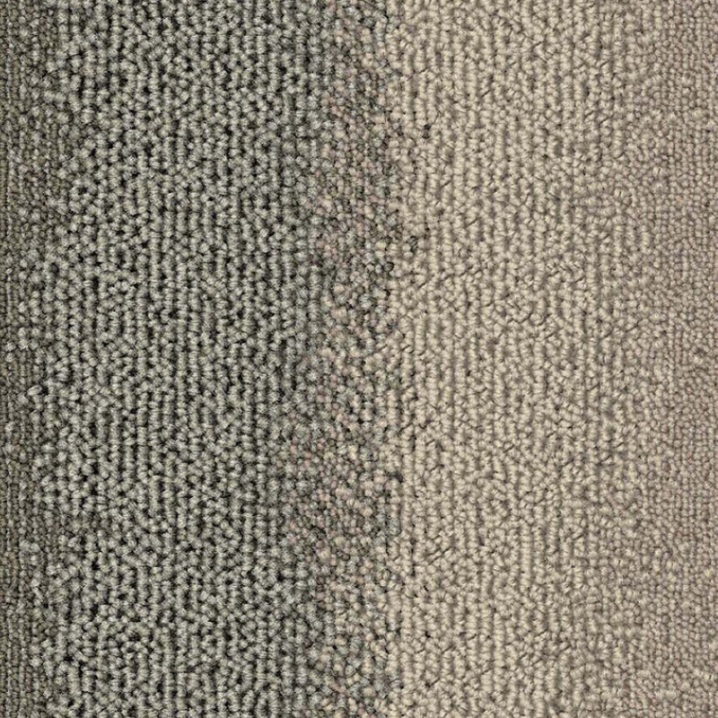 Office Carpet Flooring in Sharjah: Nylon vs Loop Pile Explained